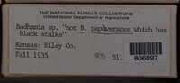 Image Associated With the Occurence